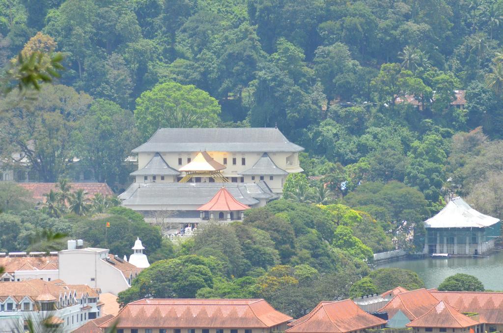 The Buena Vista Kandy Exteriér fotografie