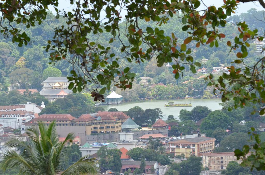 The Buena Vista Kandy Exteriér fotografie