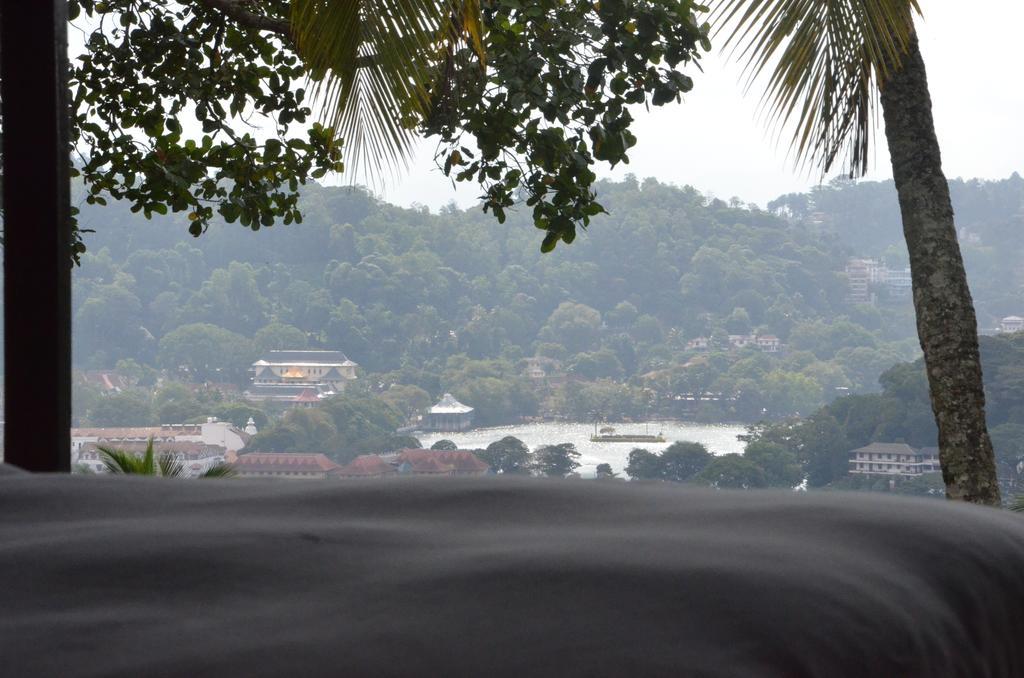 The Buena Vista Kandy Pokoj fotografie